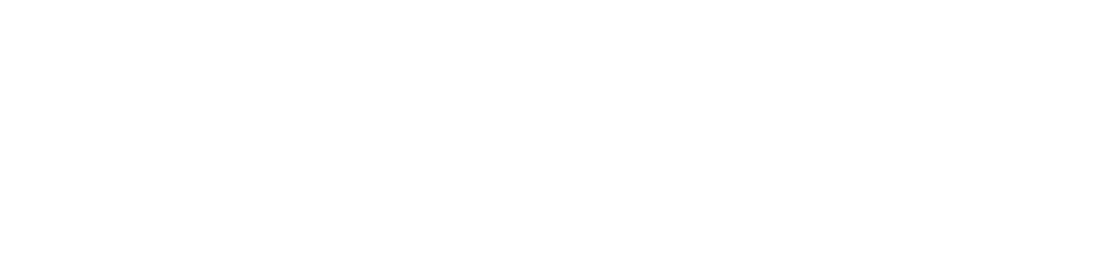 Logo-white -cybersecurity